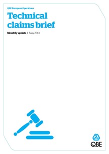 Technical Claims Brief - May 2013 (PDF 768Kb) 